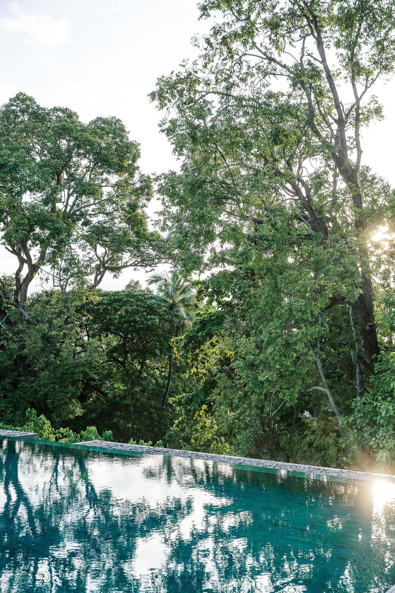 Treeline Urban Resort Ciudad de Siem Riep Exterior foto